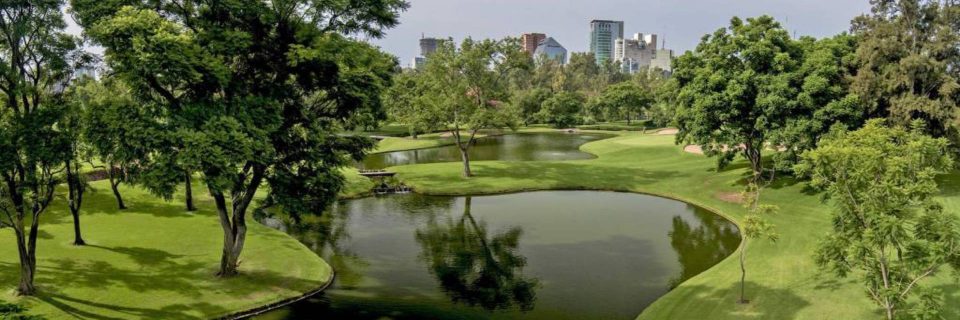 زين أسلوب حديقتك اليوم