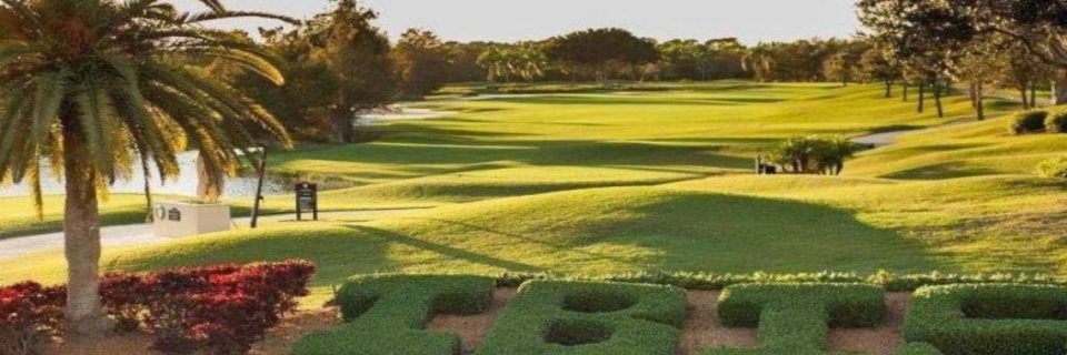 تقديم رعاية استثنائية للحديقة