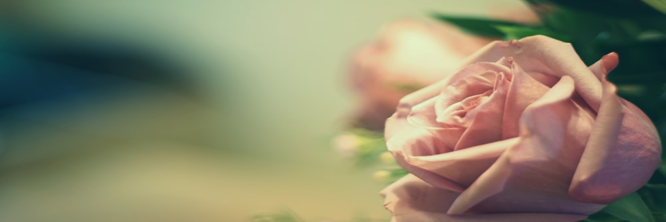 توفير مجموعة متنوعة من تنسيقات الزهور لجميع أنواع المناسبات